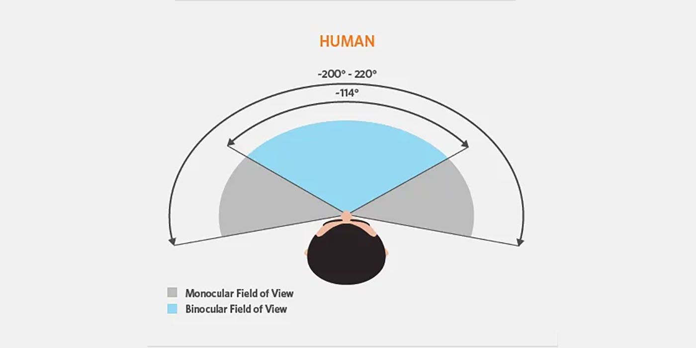 VR Field of View measured and explained